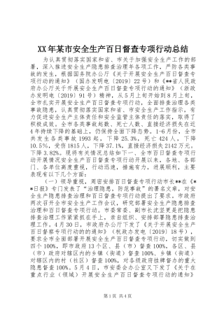 XX年某市安全生产百日督查专项行动总结