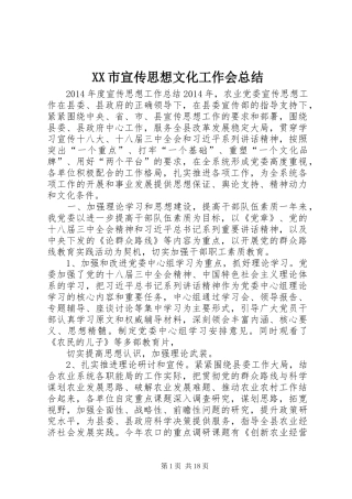 XX市宣传思想文化工作会总结