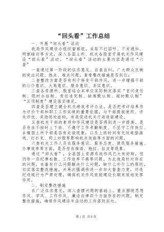 “回头看”工作总结