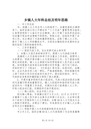 乡镇人大年终总结及明年思路