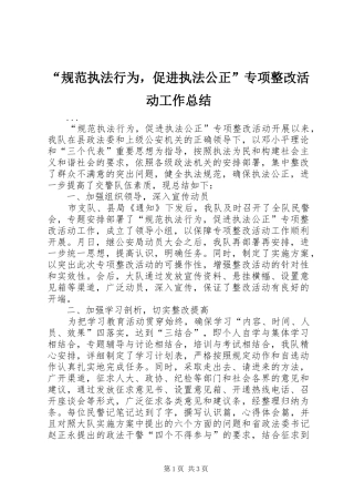 “规范执法行为，促进执法公正”专项整改活动工作总结 (3)