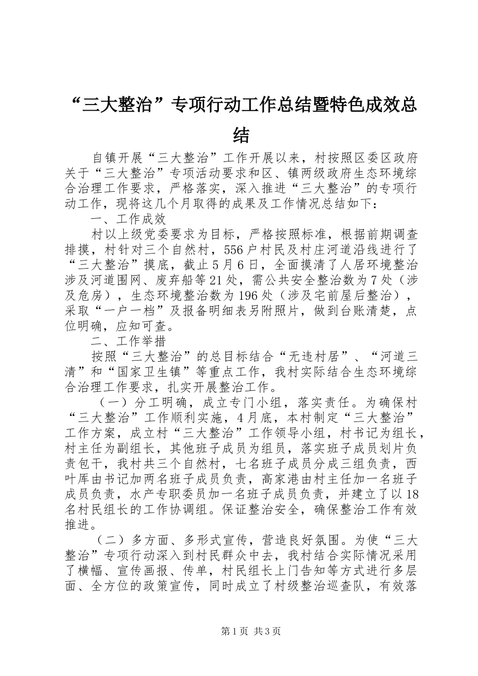 “三大整治”专项行动工作总结暨特色成效总结_第1页