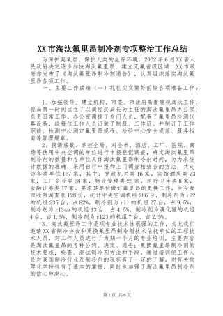 XX市淘汰氟里昂制冷剂专项整治工作总结