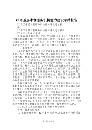 XX市基层水利服务机构能力建设总结报告