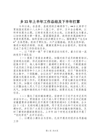 乡XX年上半年工作总结及下半年打算