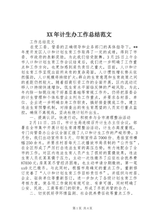 XX年计生办工作总结范文