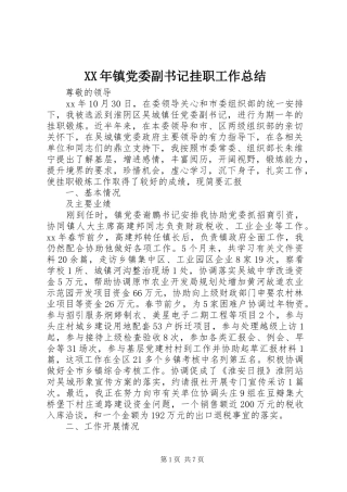 XX年镇党委副书记挂职工作总结