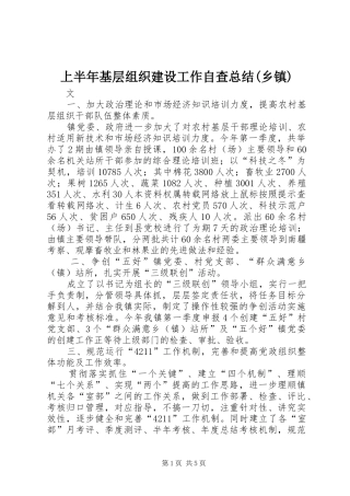 上半年基层组织建设工作自查总结(乡镇)
