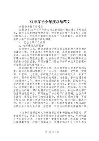 XX年某协会年度总结范文