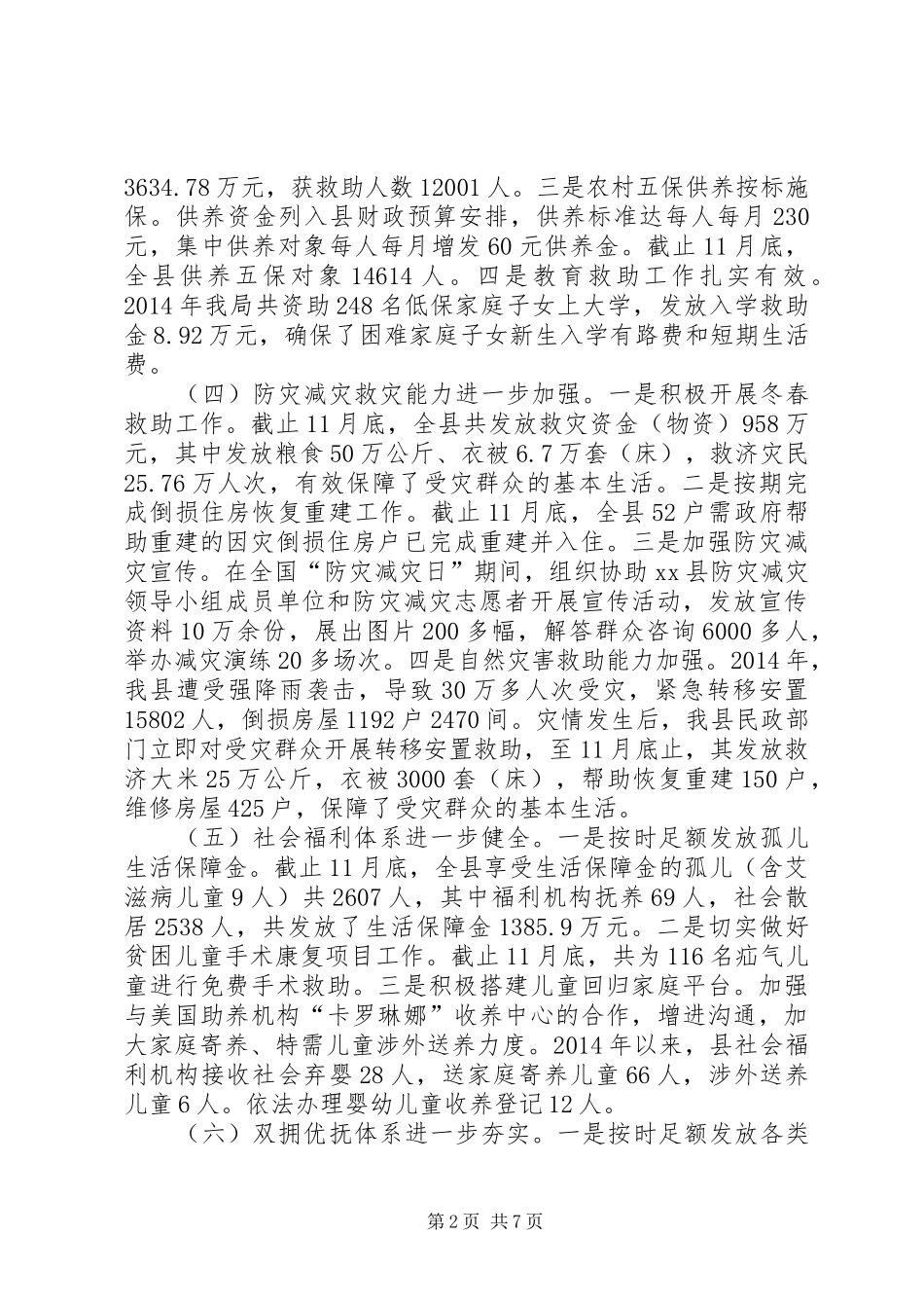 XX年县民政局工作总结_第2页