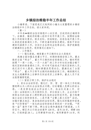 乡镇综治维稳半年工作总结