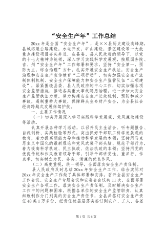 “安全生产年”工作总结