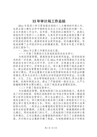 XX年审计局工作总结