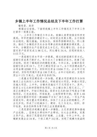 乡镇上半年工作情况总结及下半年工作打算 (11)
