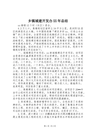 乡镇城建开发办XX年总结