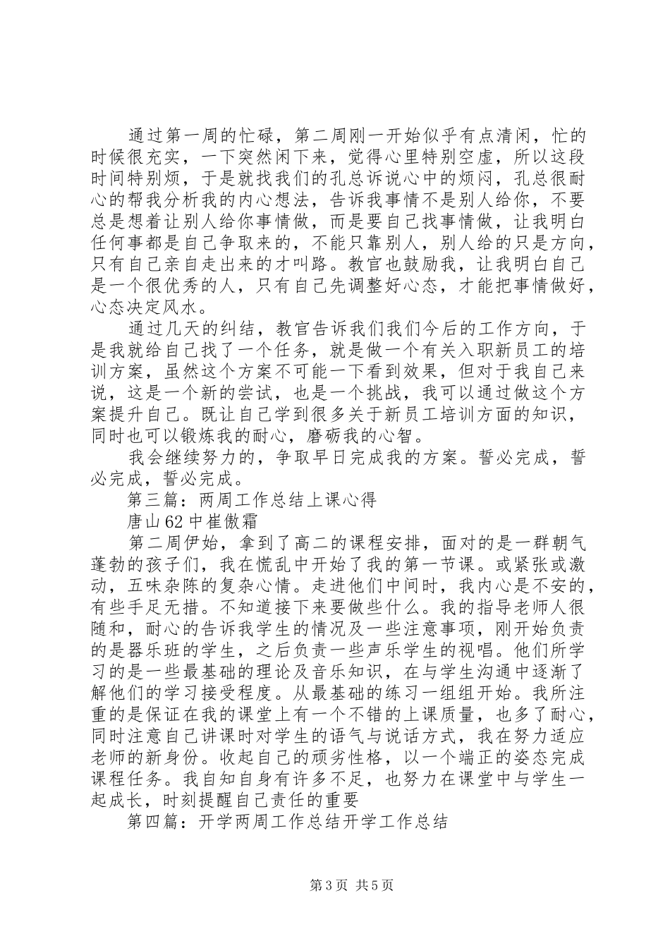 个人两周工作总结模版_第3页