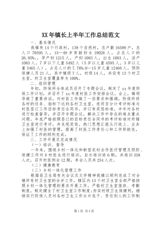 XX年镇长上半年工作总结范文