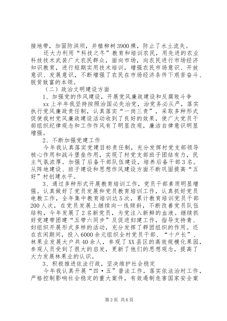 XX年村党支部书记年终工作总结_第2页