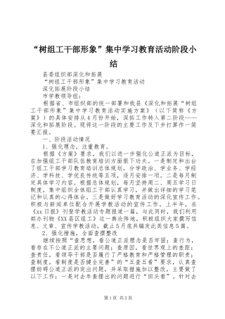 “树组工干部形象”集中学习教育活动阶段小结 (3)
