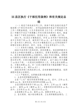 XX县区执行《干部任用条例》和有关规定总结