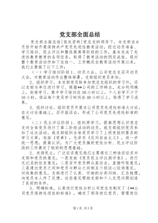 党支部全面总结