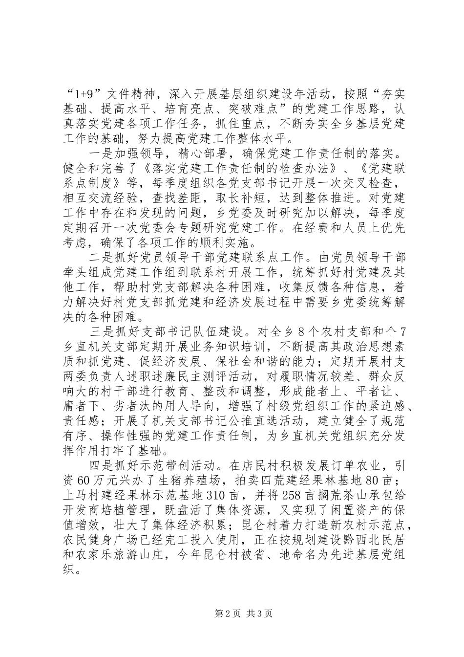 乡党委书记年终总结 (3)_第2页