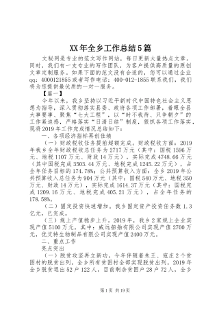 XX年全乡工作总结5篇
