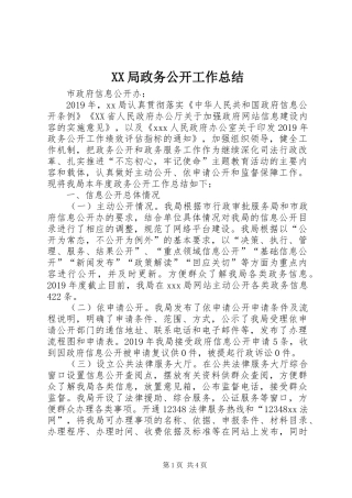 XX局政务公开工作总结