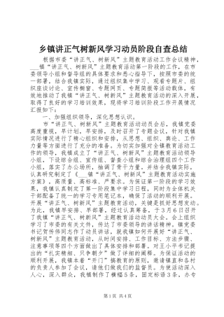 乡镇讲正气树新风学习动员阶段自查总结 (3)
