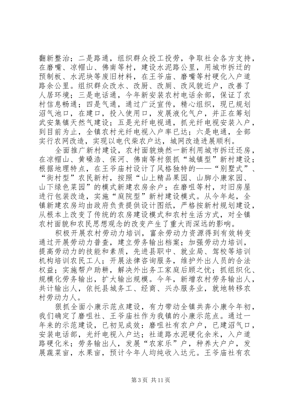 二四年度工作总结（乡镇）_第3页