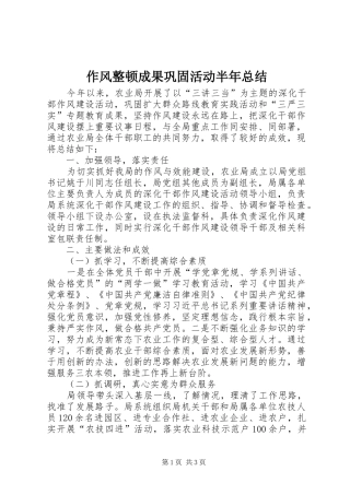 作风整顿成果巩固活动半年总结 (3)