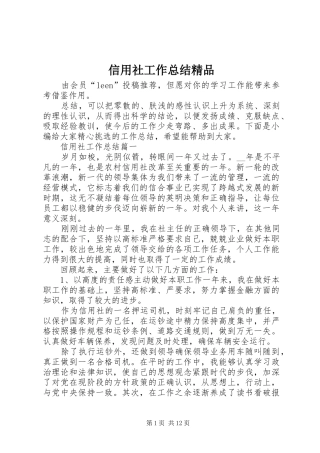 信用社工作总结精品