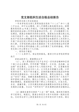 党支部组织生活自检总结报告 (3)