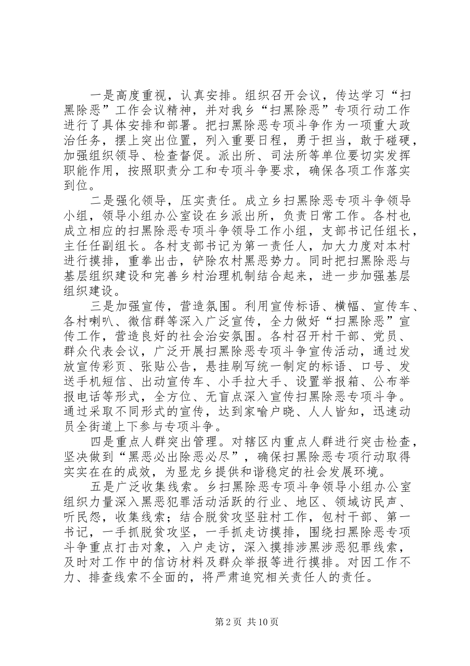 “扫黑除恶”专项斗争工作总结（五篇）_第2页