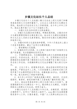 乡镇文化站长个人总结