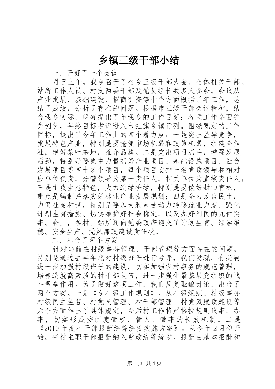 乡镇三级干部小结_第1页