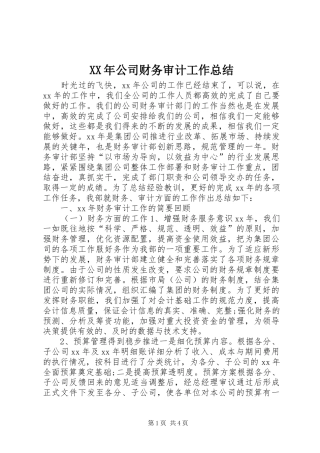 XX年公司财务审计工作总结
