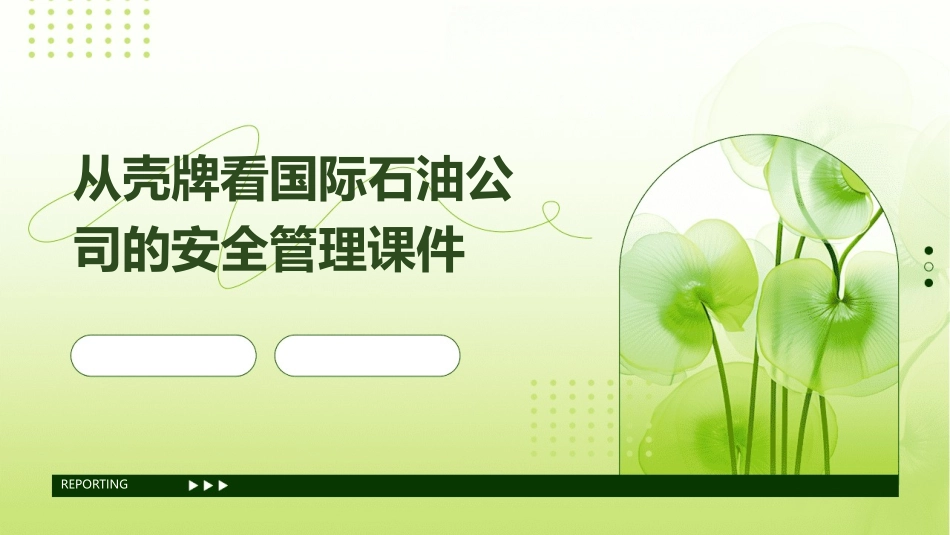 从壳牌看国际石油公司的安全管理课件_第1页