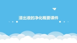 浸出液的净化概要课件