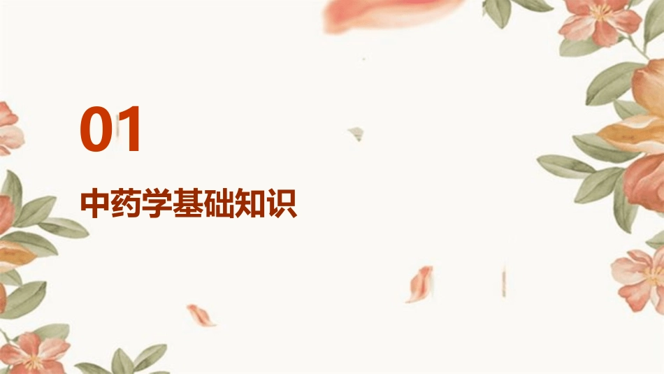 中药学 平肝药护理课件_第3页