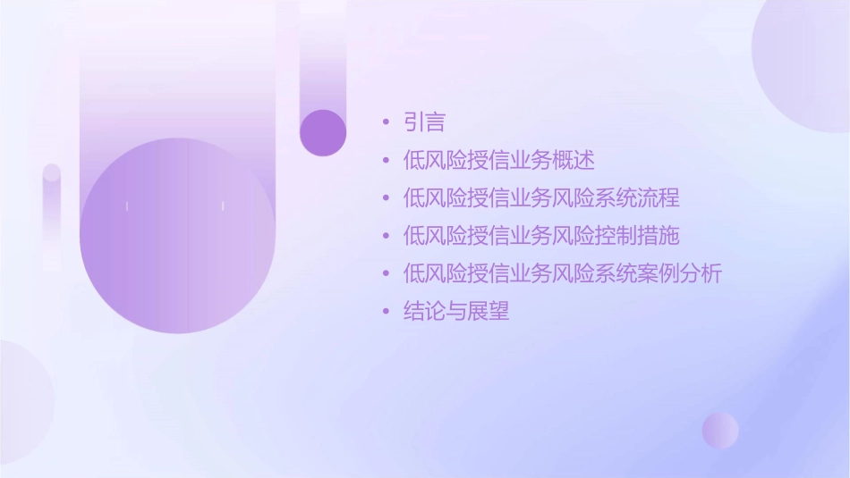 低风险授信业务风险系统流程介绍课件1_第2页