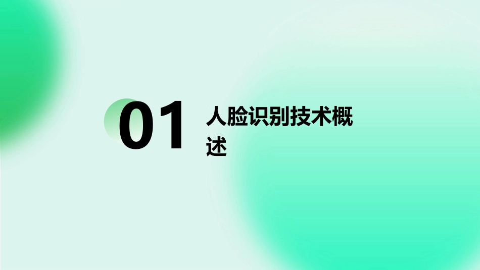 人脸识别的特征提取概论课件_第3页