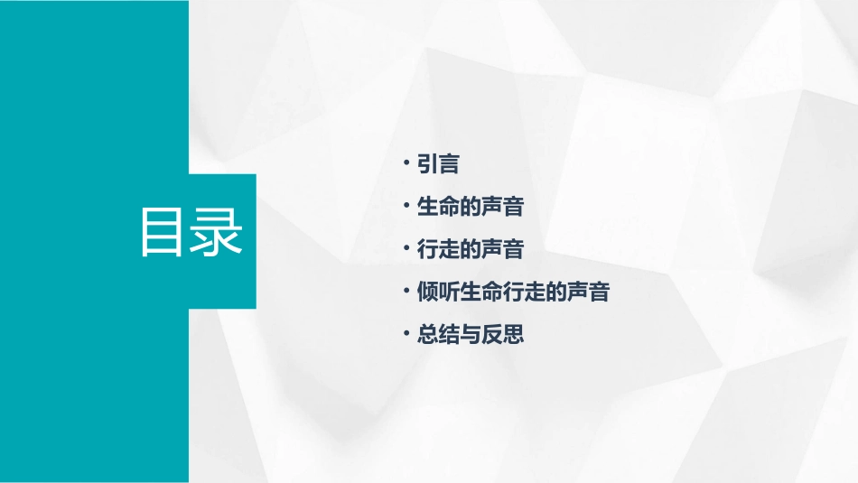 倾听生命行走的声音课件_第2页