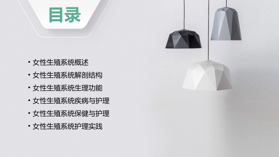 人体解剖学 生殖系统女性生殖系统护理课件_第2页