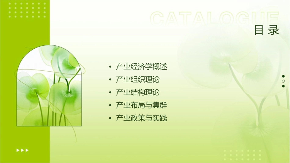 产业经济学基础知识培训课件1_第2页