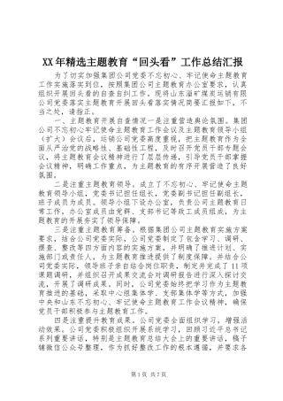 XX年精选主题教育“回头看”工作总结汇报