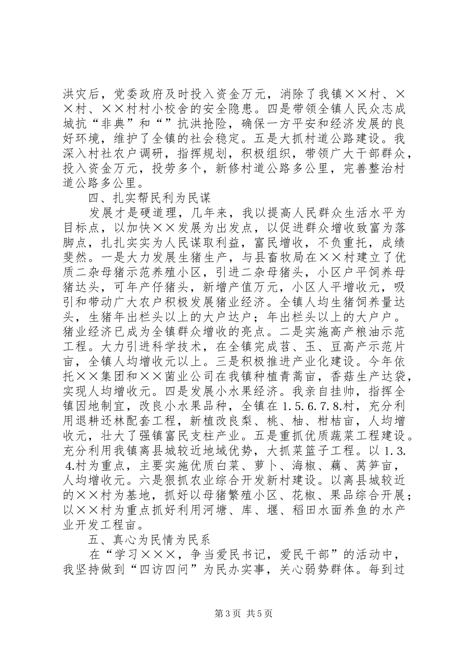 乡镇党委书记工作总结 (3)_第3页