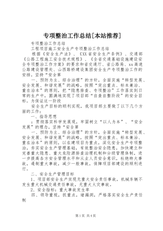 专项整治工作总结[本站推荐]