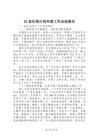 XX县区统计局年度工作总结报告