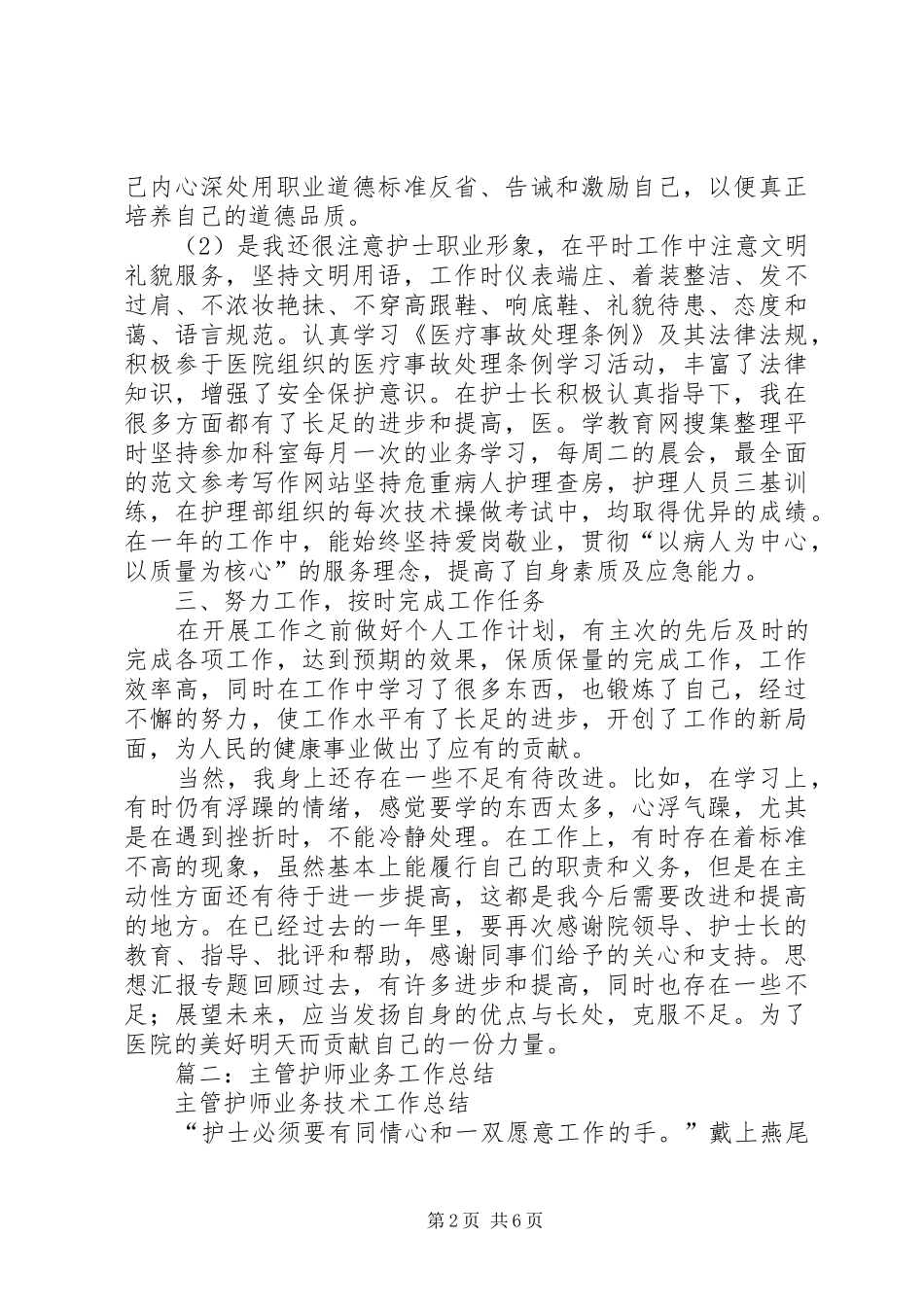 主管护师个人总结_第2页